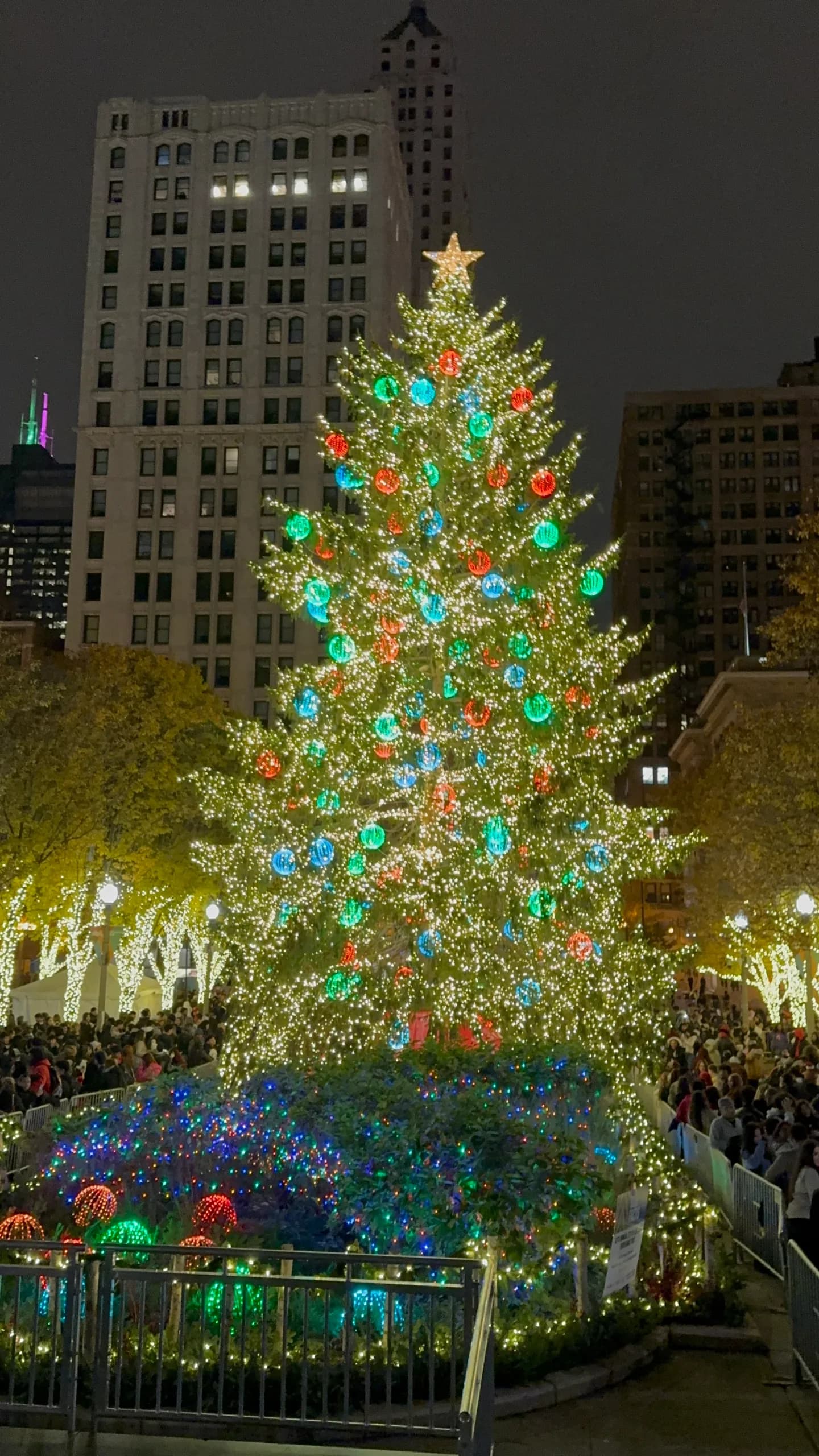 Chicago Christmas Tree Lighting Ceremony
