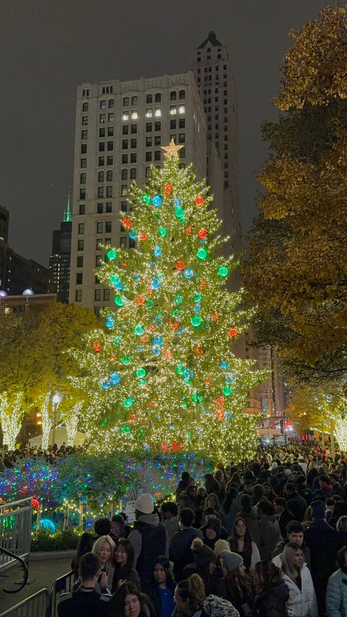 Chicago Christmas Tree Lighting Ceremony โ photo 2