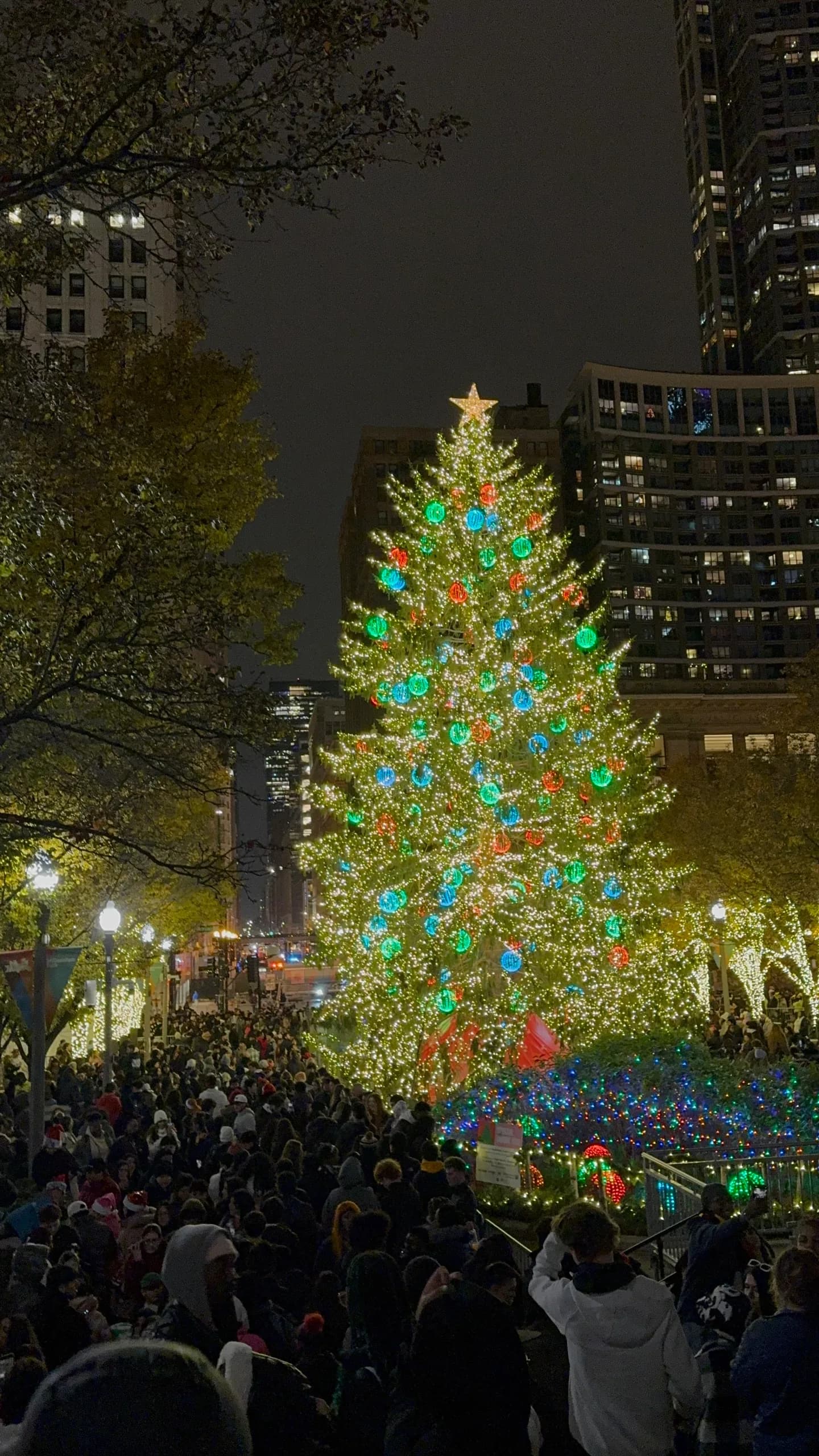 Chicago Christmas Tree Lighting Ceremony โ photo 3